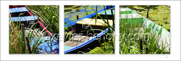 Photo de la loire: Triptyque