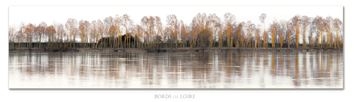 Photo de la loire: Le Thoureil