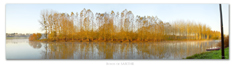 Photo de la loire: Le Thoureil