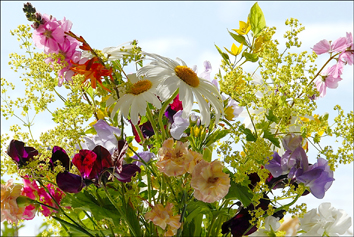 Bouquet de fleurs