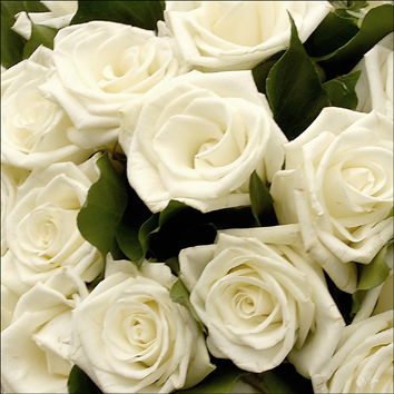 Bouquet de fleurs
