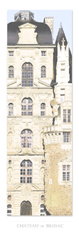 Le château de Brissac, à la verticale