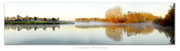 Photo de la loire: Le Thoureil