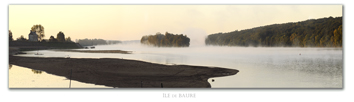 Photo de la loire: Le Thoureil
