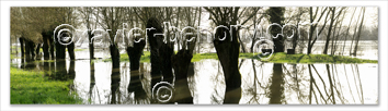 Photo de la loire: La Voute sur Loire