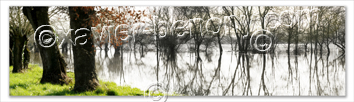 Photo de la loire: La Voute sur Loire