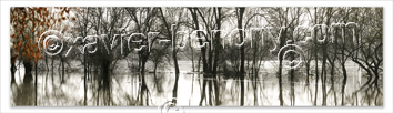 Photo de la loire: La Voute sur Loire