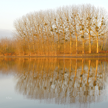 Barques de Maine