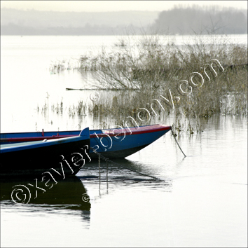 Photo de la loire: La Loire en hiver