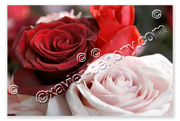 Bouquet de fleurs