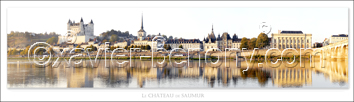Photo de la loire: Le Bec de Vienne